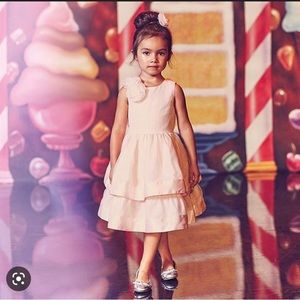 Girls Janie and Jack pink ballet formal dress rosettes size 6 EUC